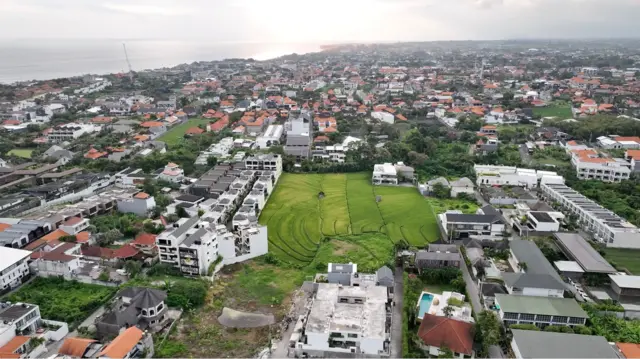 Foto udara sawah yang dikelilingi vila di kawasan Canggu.
