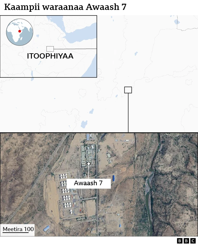 kaampii waraanaa Awaash 7