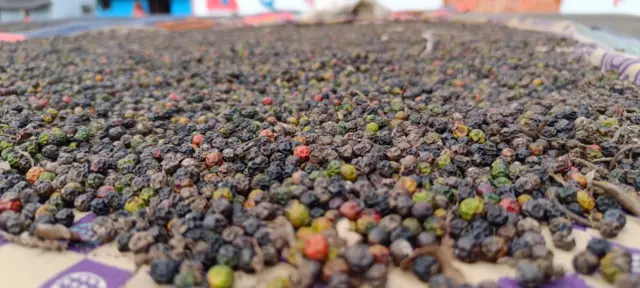 మిరియాలు