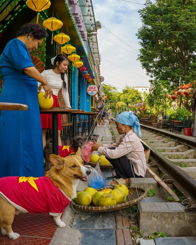 Bất chấp những rủi ro, danh tiếng của con phố đã mang lại cho người dân địa phương những cơ hội kinh doanh độc đáo