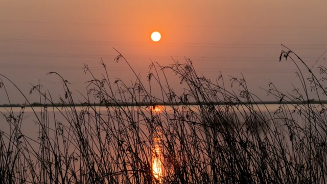 કચ્છ, બન્ની, મોરબી, લોકસભા ચૂંટણી, બીબીસી ગુજરાતી