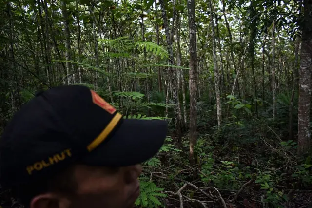Taman nasional