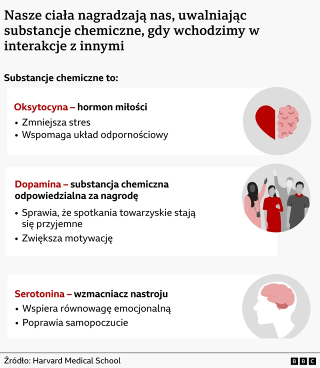 Grafika przedstawiająca trzy substancje chemiczne uwalniane podczas kontaktów towarzyskich. Tekst brzmi: Oksytocyna, hormon miłości, redukuje stres i wspomaga układ odpornościowy. Dopamina, substancja odpowiedzialna za poczucie nagrody, sprawia, że ​​kontakty towarzyskie są przyjemne i zwiększają motywację. Serotonina, substancja poprawiająca nastrój, wspiera równowagę emocjonalną i poprawia samopoczucie.
