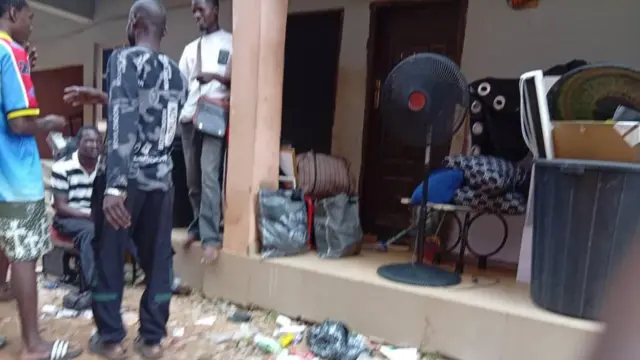 Mgbe ụmụakwụkwọ na-achọ ịkwapụta ngwo ngwo ha ndị ka dị mma.