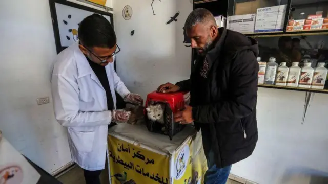 Rafah