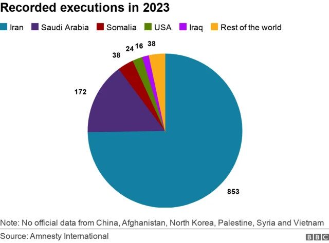 Chart showing Iran, Saudi Arabia, Somalia, USA, Iraq have the most confirmed executions