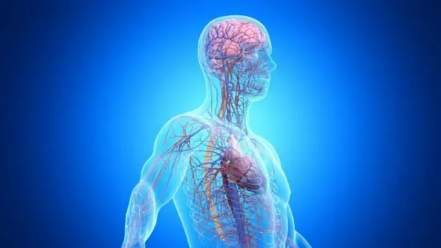 प्रातिनिधिक फोटो