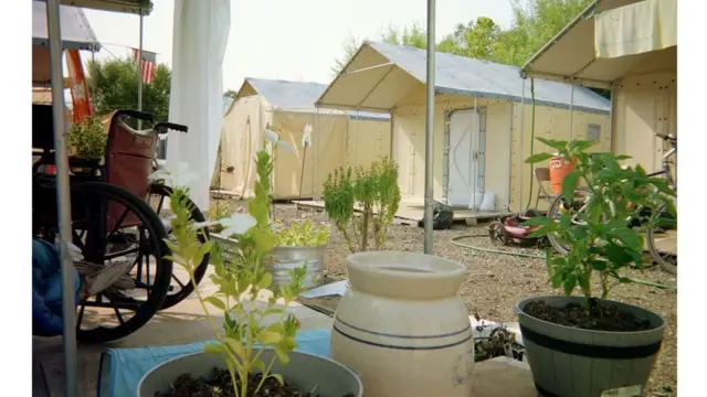 조립형 주택 여러 채가 늘어선 모습