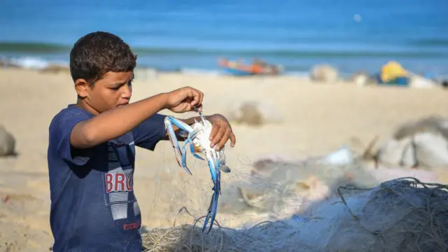 ਇਜ਼ਰਾਈਲ-ਫਲਸਤੀਨ ਸੰਘਰਸ਼