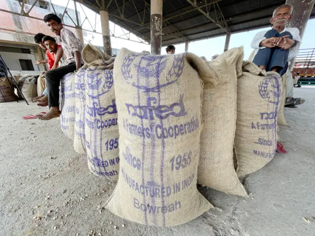 ગુજરાત, મગફળી, શીંગદાણા, ખેતી, ગુજરાતની ખેતી, કૃષિ, ખેડૂતો, ટેકાના ભાવ, કૃષિઉત્પાદન, વરસાદ, બીબીસી ગુજરાતી