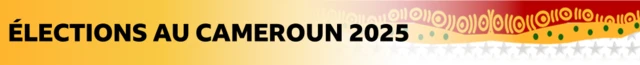 Election au Cameroun