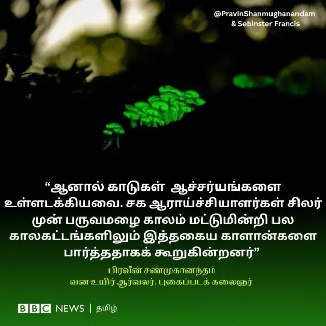 ஆனால் காடுகள் ஆச்சர்யங்களை உள்ளடக்கியவை. சக ஆராய்ச்சியாளர்கள் சிலர் முன் பருவமழை காலம் மட்டுமின்றி பல காலகட்டங்களிலும் இத்தகைய காளான்களை பார்த்ததாகக் கூறுகின்றனர், Bioluminescence mushrooms, ஆனைமலைக் காடுகள், ஒளிரும் காளான்கள்,