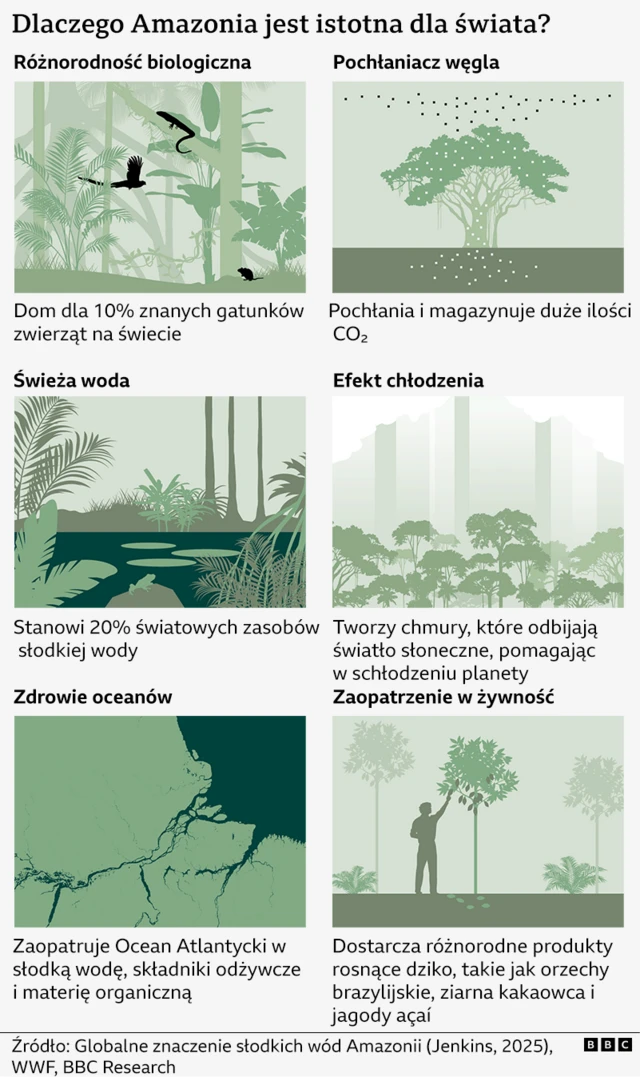 Infografika przedstawiająca podsumowanie powodów, dla których Amazonia jest ważna dla świata