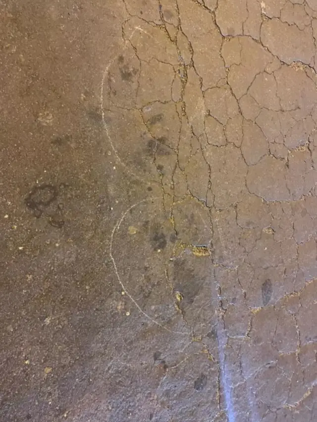 ਸੁਲਤਾਨਪੁਰੀ