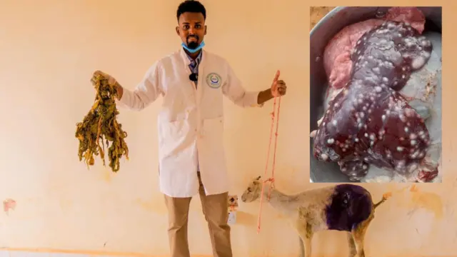 waxyaabah uu ka digo Dr Cabdimajiid