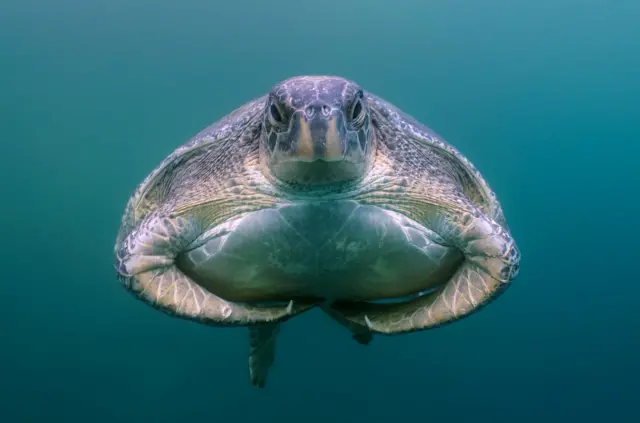 ‘ጎብየ ክንዲ ብዕራይ ክትከውን ፈተነት፡ ተፈንጂራ ሞተት’ 