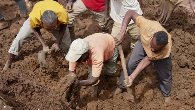 Namoota harkaan reefa barbaacha qotaa jiran