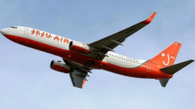 ਜੇਜੂ ਏਅਰ ਦੱਖਣੀ ਕੋਰੀਆ ਦੀ ਸਭ ਤੋਂ ਵੱਡੀ ਘੱਟ ਕੀਮਤ ਵਾਲੀ ਏਅਰਲਾਈਨਜ਼ ਵਿੱਚੋਂ ਇੱਕ ਹੈ, ਜਿਸਦੀ ਸਥਾਪਨਾ 2005 ਵਿੱਚ ਕੀਤੀ ਗਈ ਸੀ।