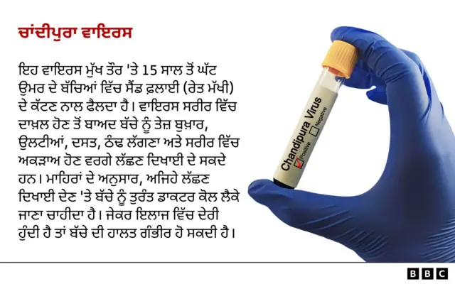 ਚਾਂਦੀਪੁਰਾ ਵਾਇਰਸ
