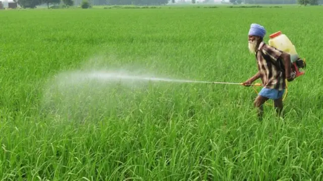 ખેડૂતો, કિસાન ક્વચ, જંતુનાશકો, ખેતી, ખેતી અને ખેડૂત, બીબીસી ગુજરાતી 