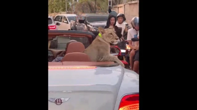 థాయ్‌లాండ్ 