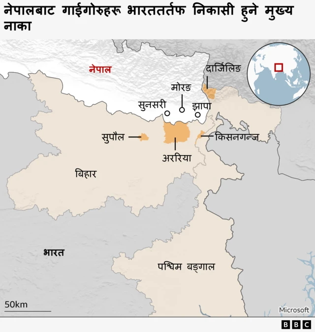 भारतबाट गाईगोरु तस्करी हुने मुख्य नाका