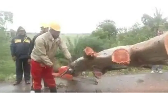 ઓડિશાના ભદ્રક જિલ્લામાં ઉખડી ગયેલા ઝાડને કાપીને રસ્તો સાફ કરી રહેલા એનડીઆરએફના કર્મીઓ 