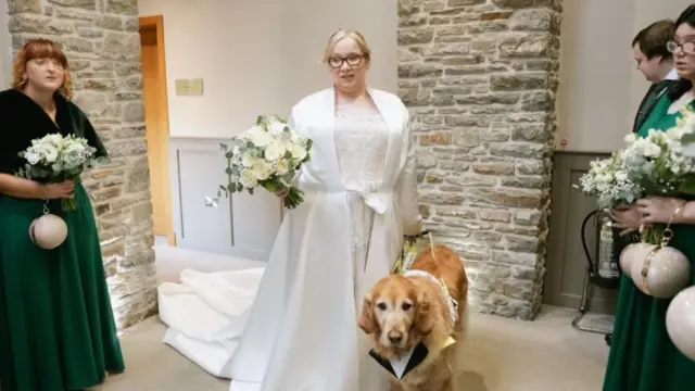 Блондинка у білій весільній сукні тримає букет білих та зелених квітів, тримає повідок для золотистого собаки в шлейці з нашийника-смокінга, оточена весільними гостями, двома подружками нареченої в темно-зелених сукнях, які тримають такі ж букети квітів, як і наречена.