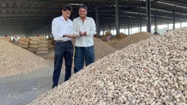 தமிழ்நாடு - குஜராத், வேர்க்கடலை விதைகள்