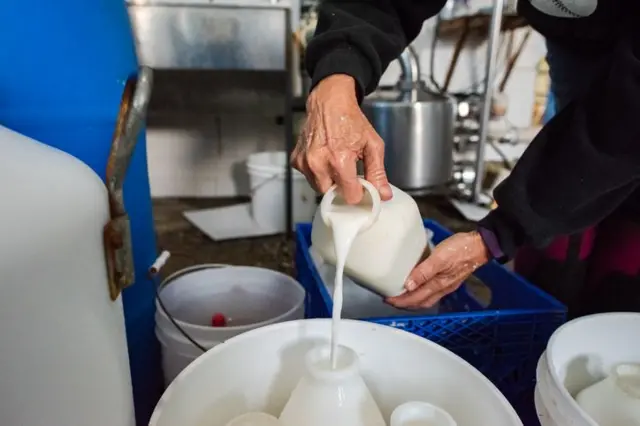 ਮਿਲਾਵਟ ਦੀ ਮਦਦ ਨਾਲ ਉਤਪਾਦ ਦੀ ਮਾੜੀ ਗੁਣਵੱਤਾ ਨੂੰ ਲੁਕਾਇਆ ਜਾਂਦਾ ਹੈ