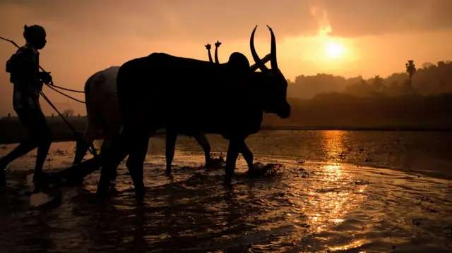 தமிழக வேளாண் நிதிநிலை அறிவிப்புகள் போதுமானவையா?