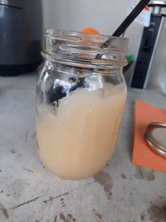 морський мох