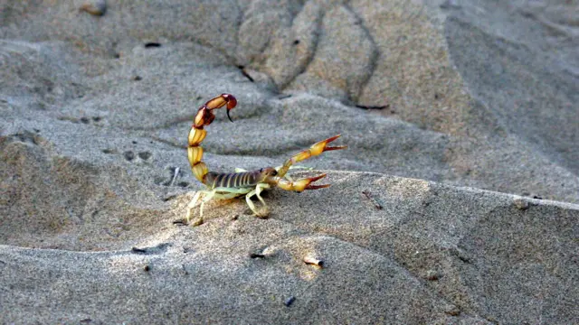 प्रातिनिधीक फोटो