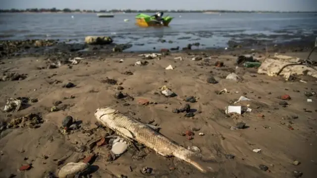 Аргентинадагы кургакчылык