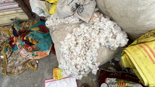 विदर्भ आणि मराठवाड्यातील शेतकरी प्रामुख्यानं कापूस आणि सोयाबीन ही पिके घेतात.