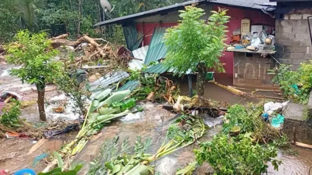 దిత్వా, సెన్యార్, బంగాళాఖాతం, తుపాను, తమిళనాడు, దక్షిణ కోస్తా, రాయలసీమ