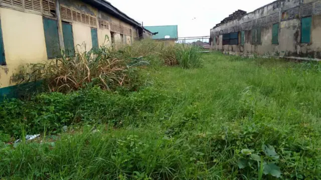 Ụlọ ọmụmụ ihe abụọ ebe ahịhịa tojuru n'etiti ha