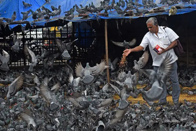 प्रातिनिधिक फोटो