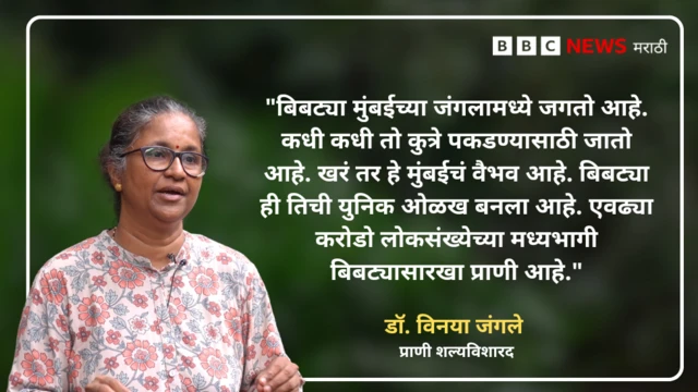 कोट कार्ड