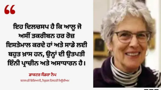 ਸੈਂਡਰਾ ਨੈਪ