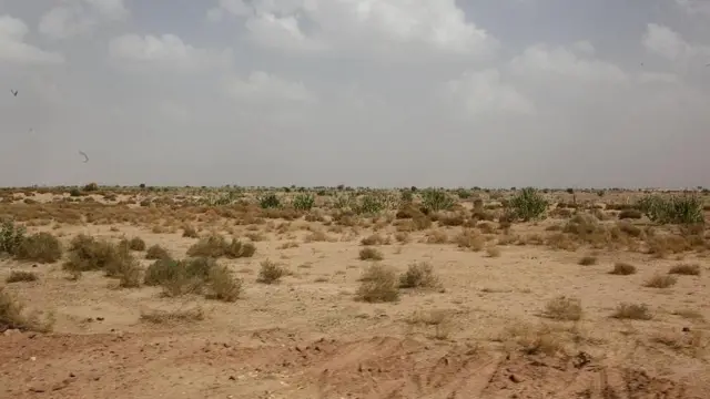 ਰਾਜਸਥਾਨ ਸੈਕਟਰ ਵਿੱਚ ਆਪ੍ਰੇਸ਼ਨ ਬ੍ਰਾਸਟੈਕਸ ਹੋਇਆ