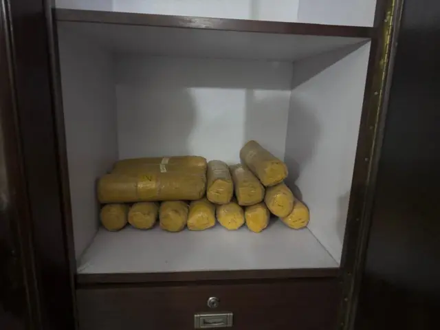 منشیات، لاہور، جورڈن گینگ