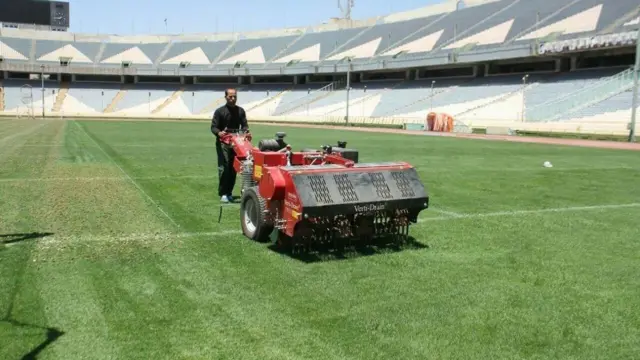 چمن ورزشگاه آزادی