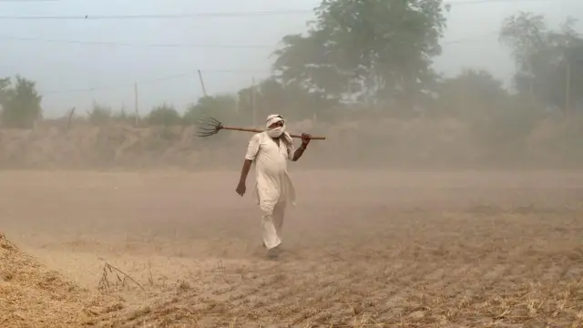 ਕਿਸਾਨ