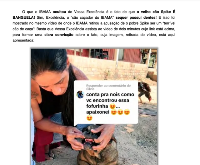 Imagem de trecho de decisão judicial, que mostra cachorro sem os dentes