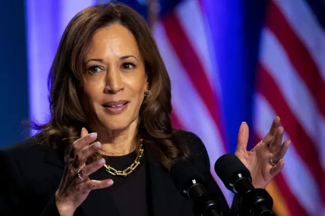 Bà Kamala Harris trong một cuộc vận động tranh cử ở thành phố Pittsburgh, bang Pennsylvania hôm 25/9.