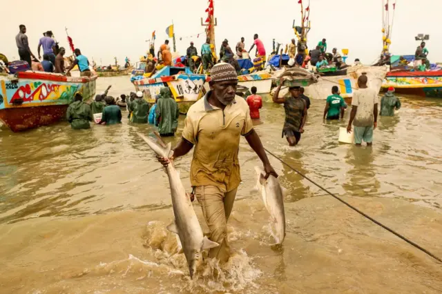 Des pêcheurs sénégalais vendent leur poisson sur la côte de Mbour qui abrite de nombreuses espèces de poissons.