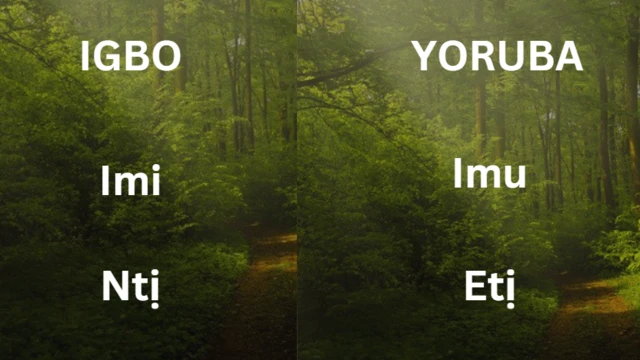 Asụsụ Igbo na Yoruba