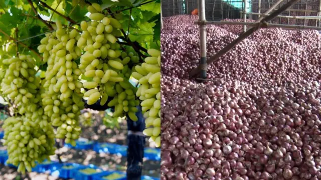 कांदा आणि द्राक्षं