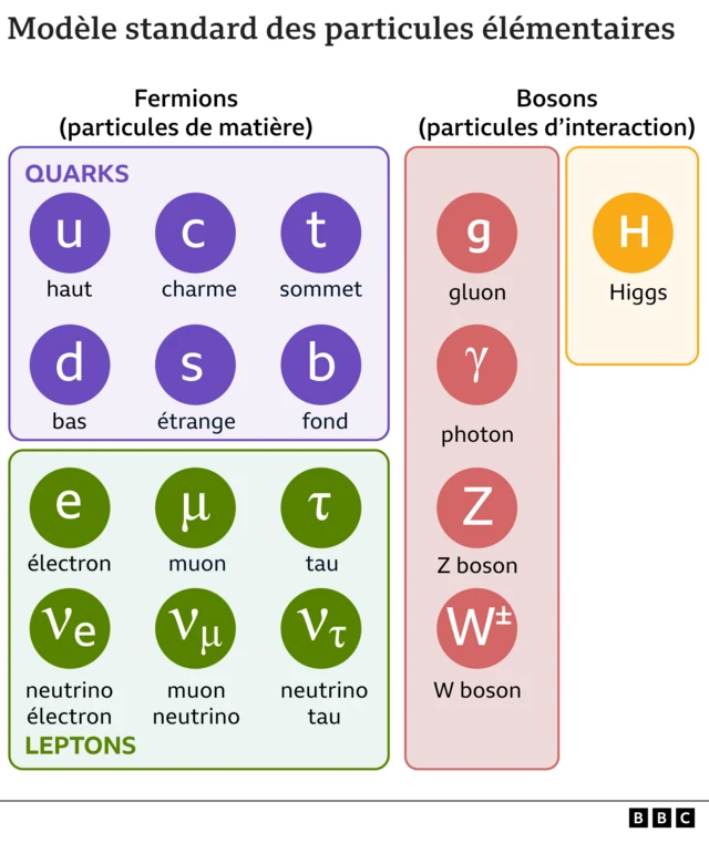 Graphique représentant le modèle standard de la physique des particules